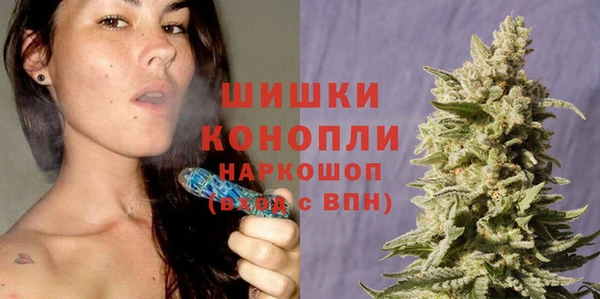 дмт Верея